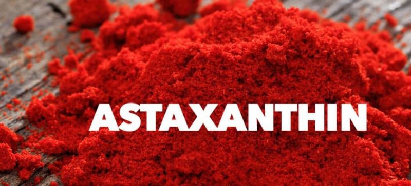 The antioxidant Astaxanthin for athletes as powder